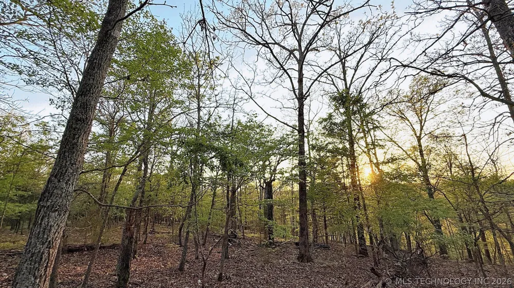 2345 Overlook Drive Kansas, OK 74347