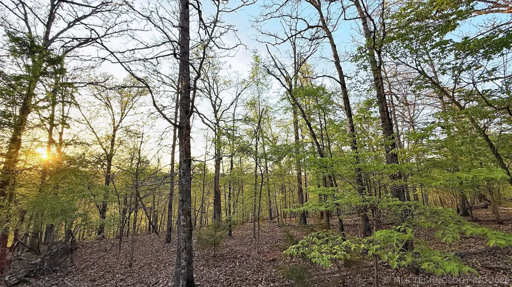 2345 Overlook Drive Kansas, OK 74347
