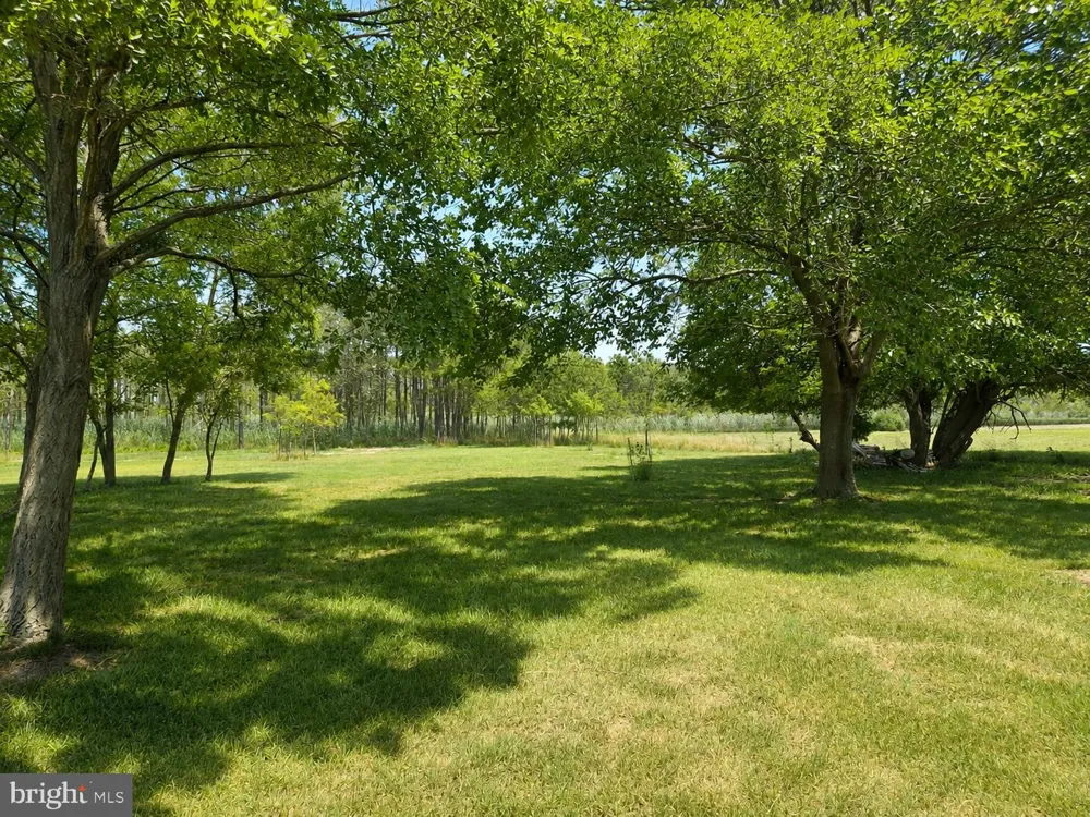 2243 WINGATE BISHOPS HEAD ROAD Wingate, MD 21675