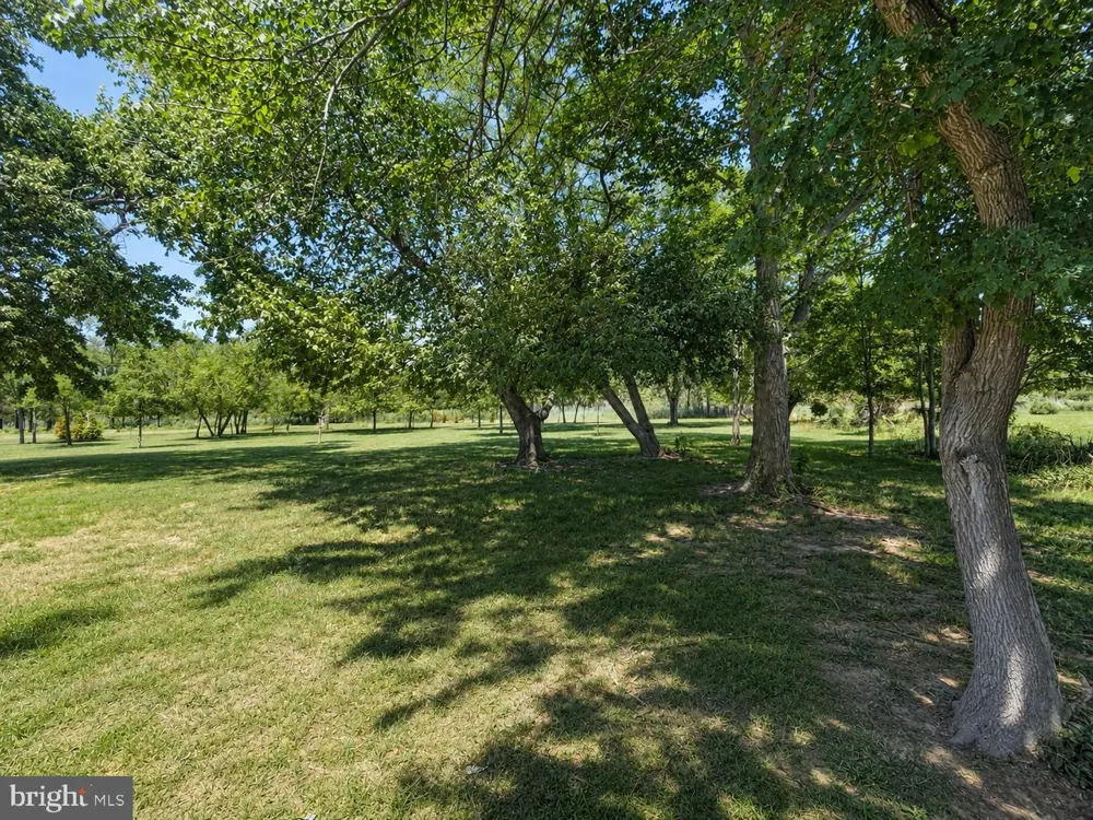 2243 WINGATE BISHOPS HEAD ROAD Wingate, MD 21675