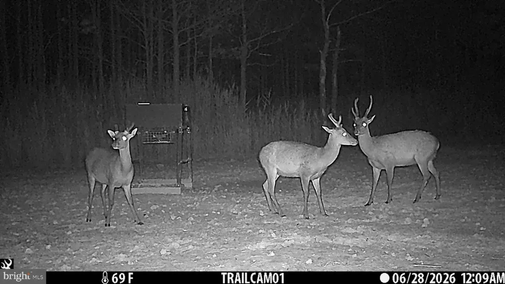 2243 WINGATE BISHOPS HEAD ROAD Wingate, MD 21675