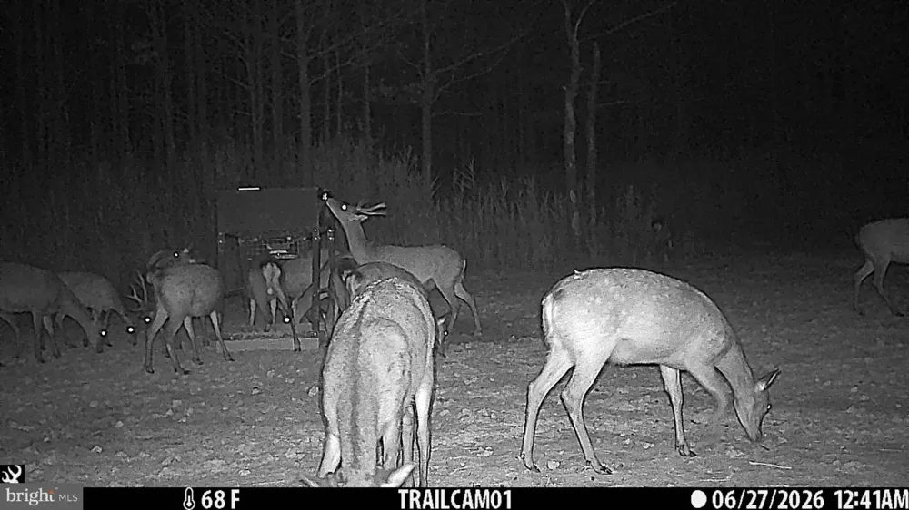 2243 WINGATE BISHOPS HEAD ROAD Wingate, MD 21675