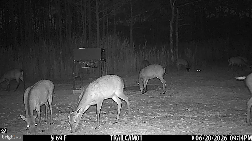 2243 WINGATE BISHOPS HEAD ROAD Wingate, MD 21675