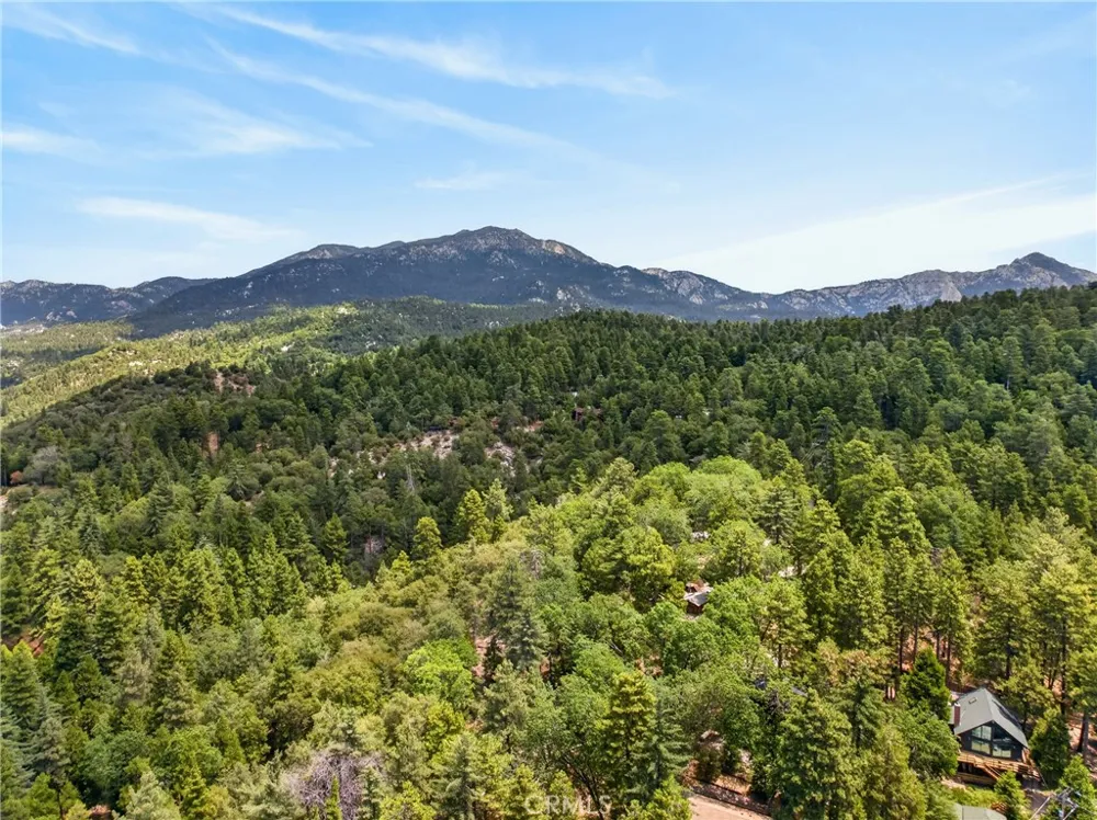 25151 Wrightwood Idyllwild, CA 92549