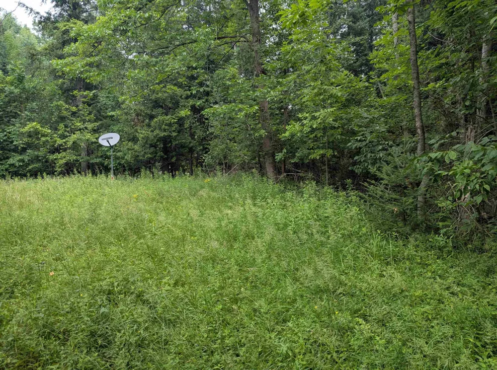 4192 Highbanks Drive Deep River Township, MI 48749