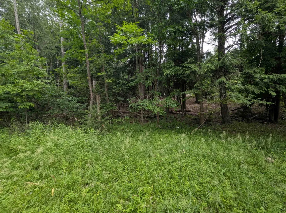 4192 Highbanks Drive Deep River Township, MI 48749