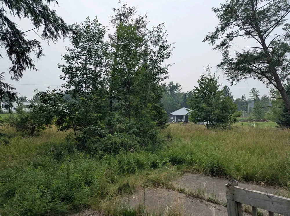 4192 Highbanks Drive Deep River Township, MI 48749
