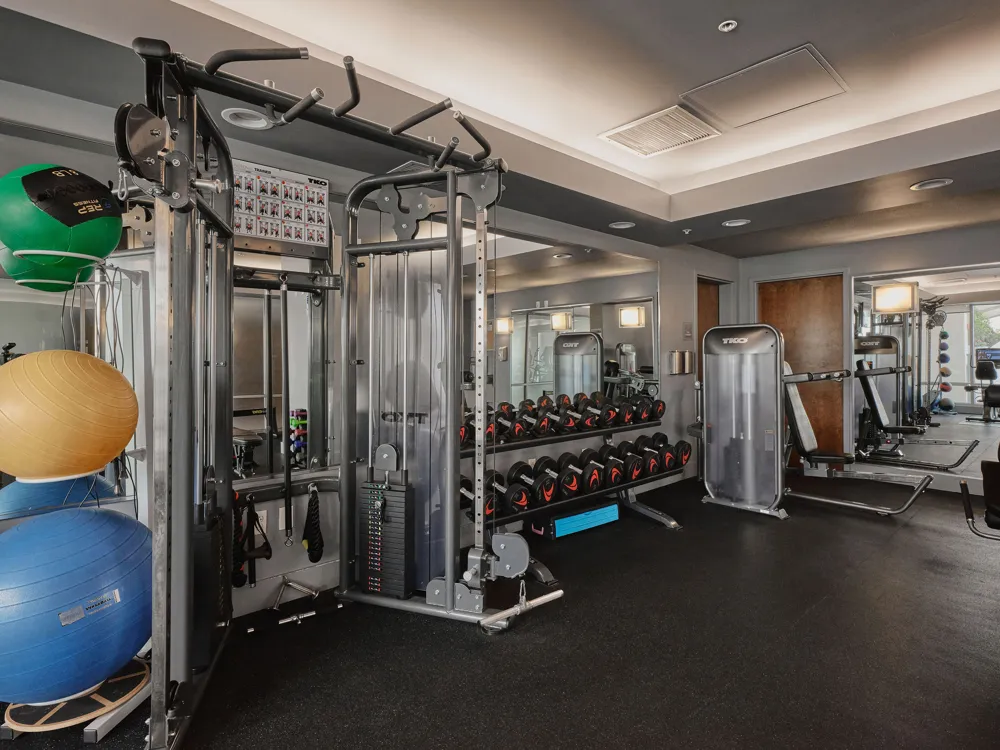 300 Bowie Street #4101 Austin, TX 78703