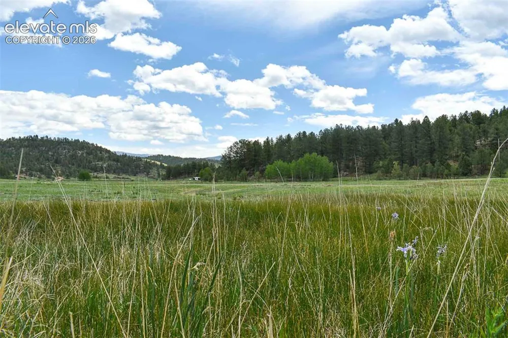 729 Valley Drive Guffey, CO 80820