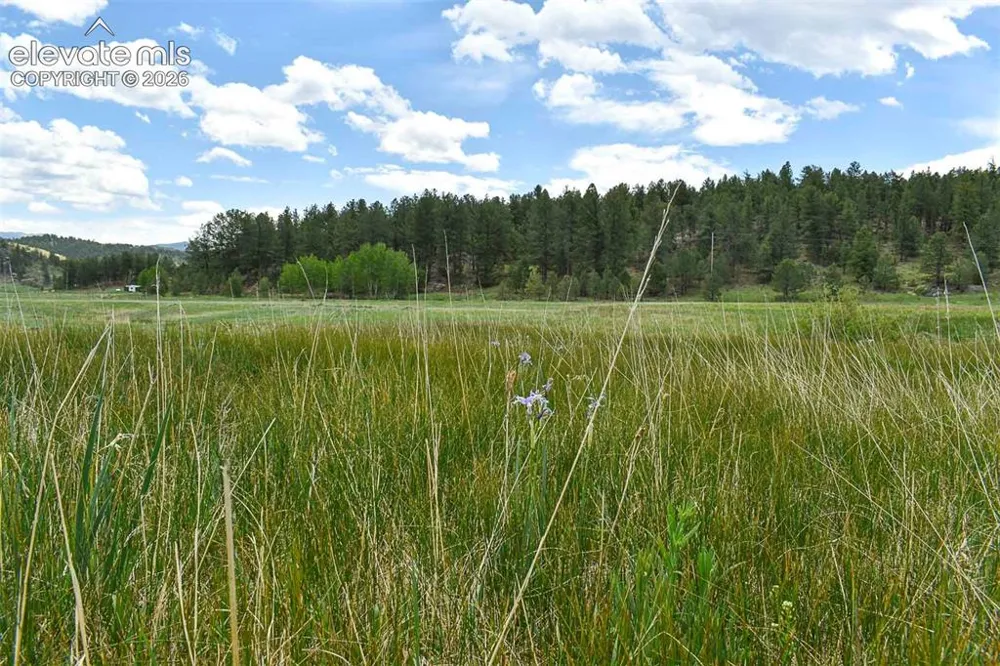 729 Valley Drive Guffey, CO 80820
