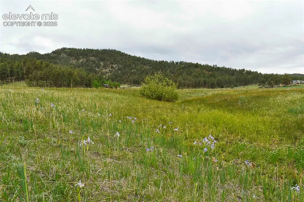 729 Valley Drive Guffey, CO 80820