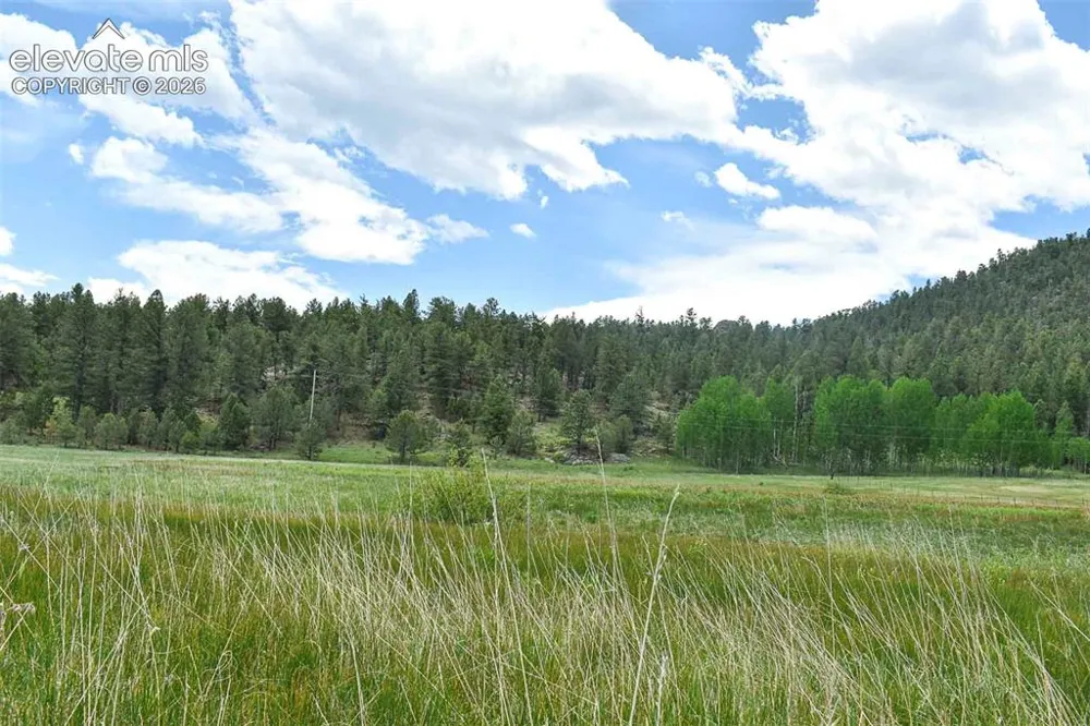 729 Valley Drive Guffey, CO 80820