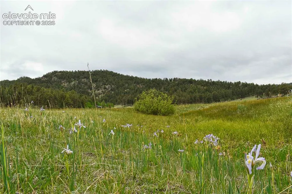 729 Valley Drive Guffey, CO 80820