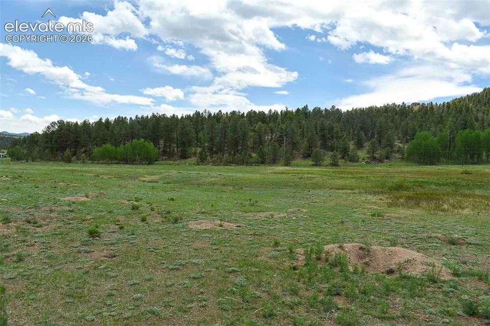729 Valley Drive Guffey, CO 80820