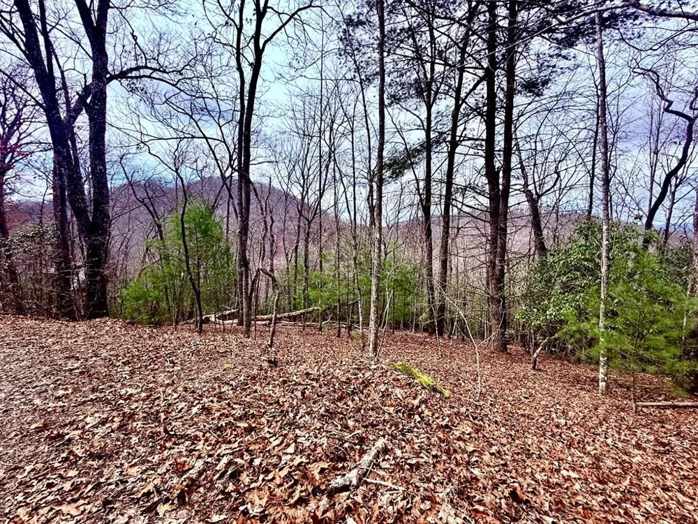 3.06 Ac Ridgeline Drive Brasstown, NC 28902
