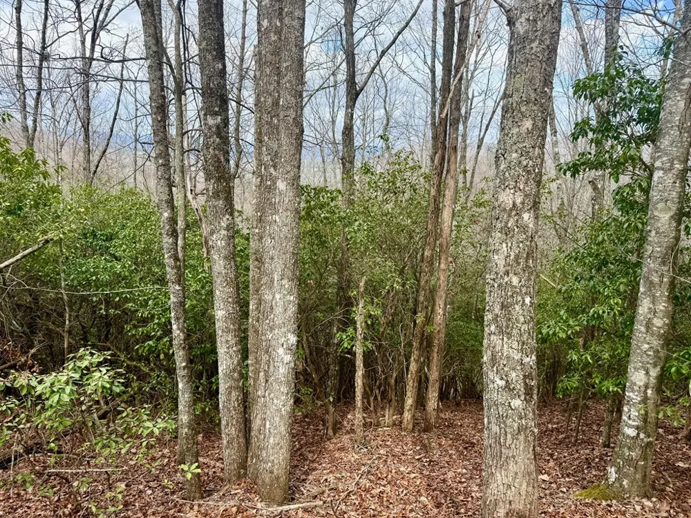 3.06 Ac Ridgeline Drive Brasstown, NC 28902