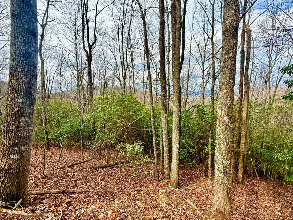 3.06 Ac Ridgeline Drive Brasstown, NC 28902