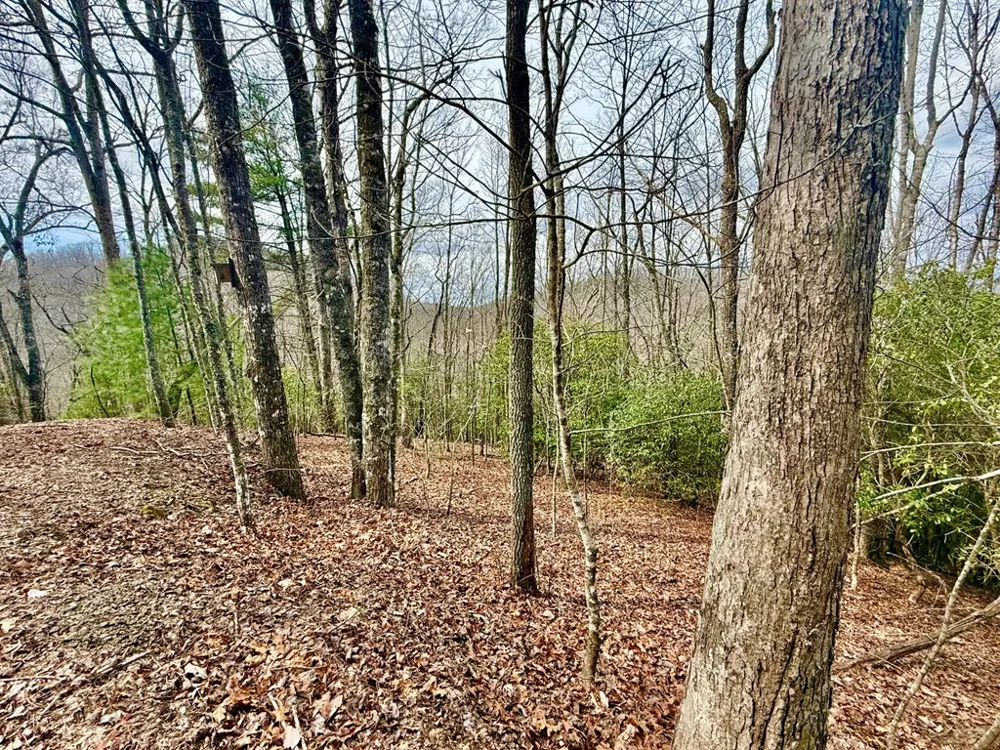 3.06 Ac Ridgeline Drive Brasstown, NC 28902