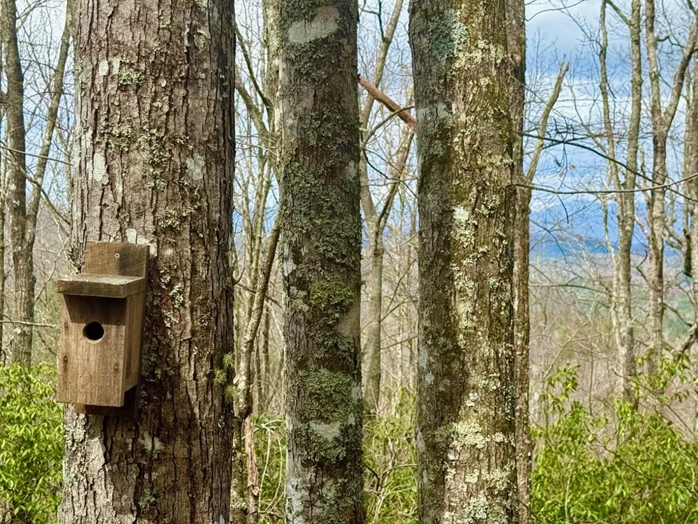 3.06 Ac Ridgeline Drive Brasstown, NC 28902