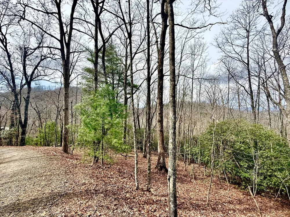 3.06 Ac Ridgeline Drive Brasstown, NC 28902