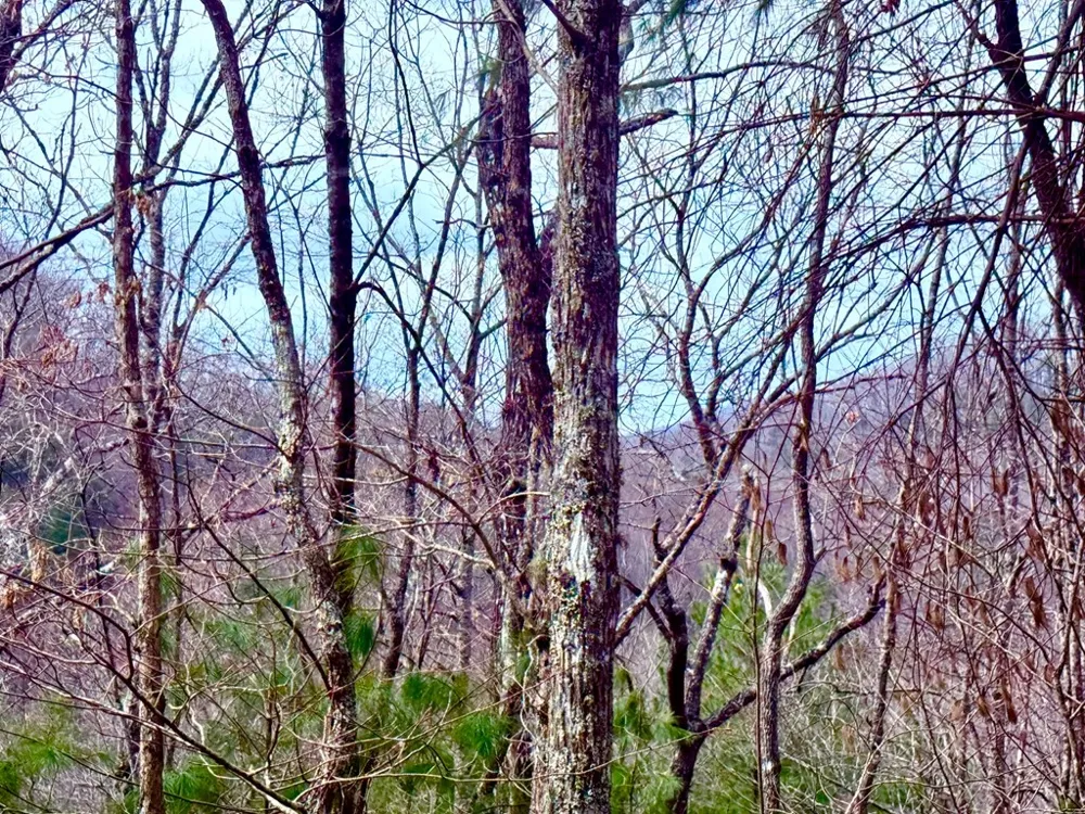 3.06 Ac Ridgeline Drive Brasstown, NC 28902