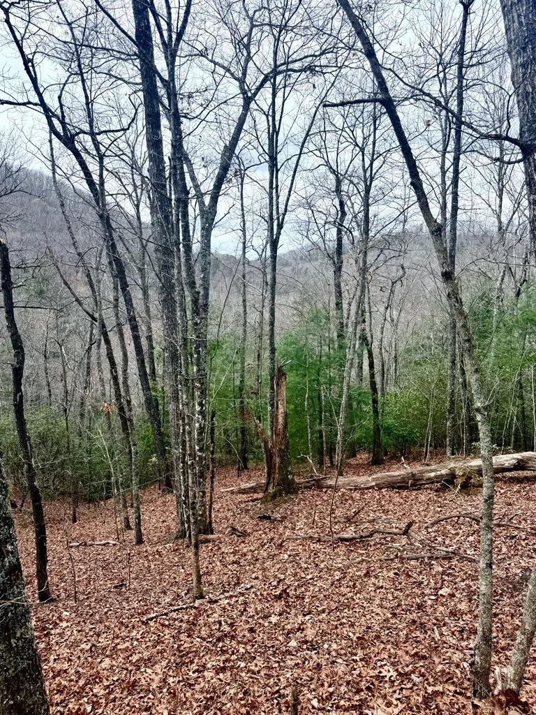 3.06 Ac Ridgeline Drive Brasstown, NC 28902