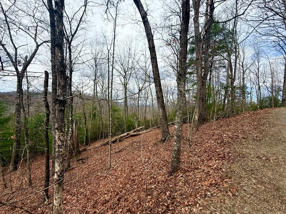3.06 Ac Ridgeline Drive Brasstown, NC 28902