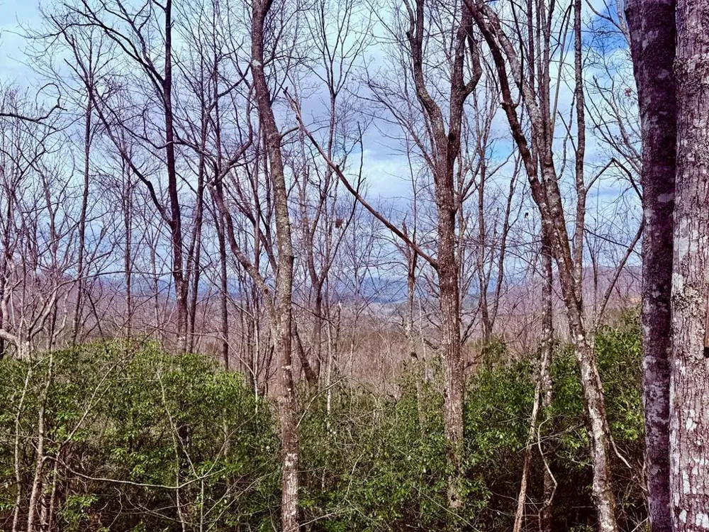 3.06 Ac Ridgeline Drive Brasstown, NC 28902