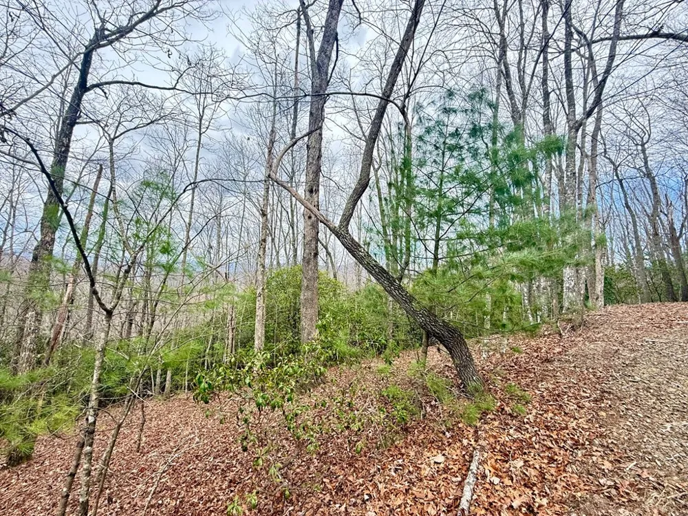 3.06 Ac Ridgeline Drive Brasstown, NC 28902
