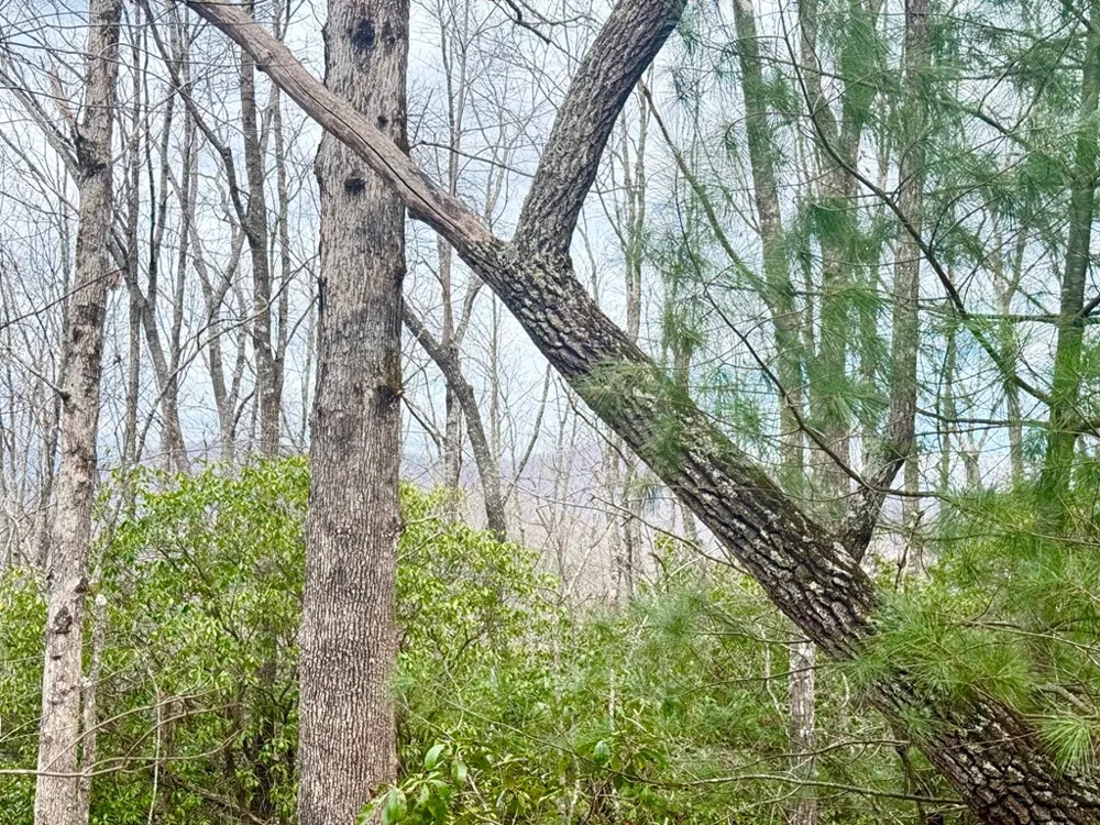 3.06 Ac Ridgeline Drive Brasstown, NC 28902