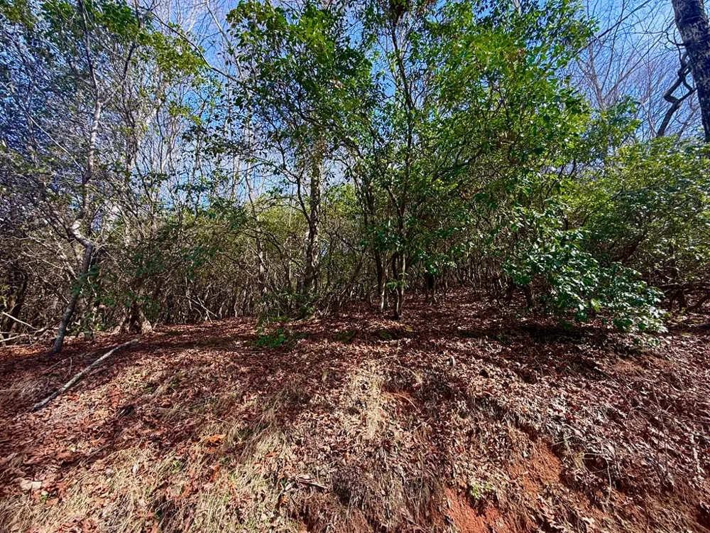 3.06 Ac Ridgeline Drive Brasstown, NC 28902