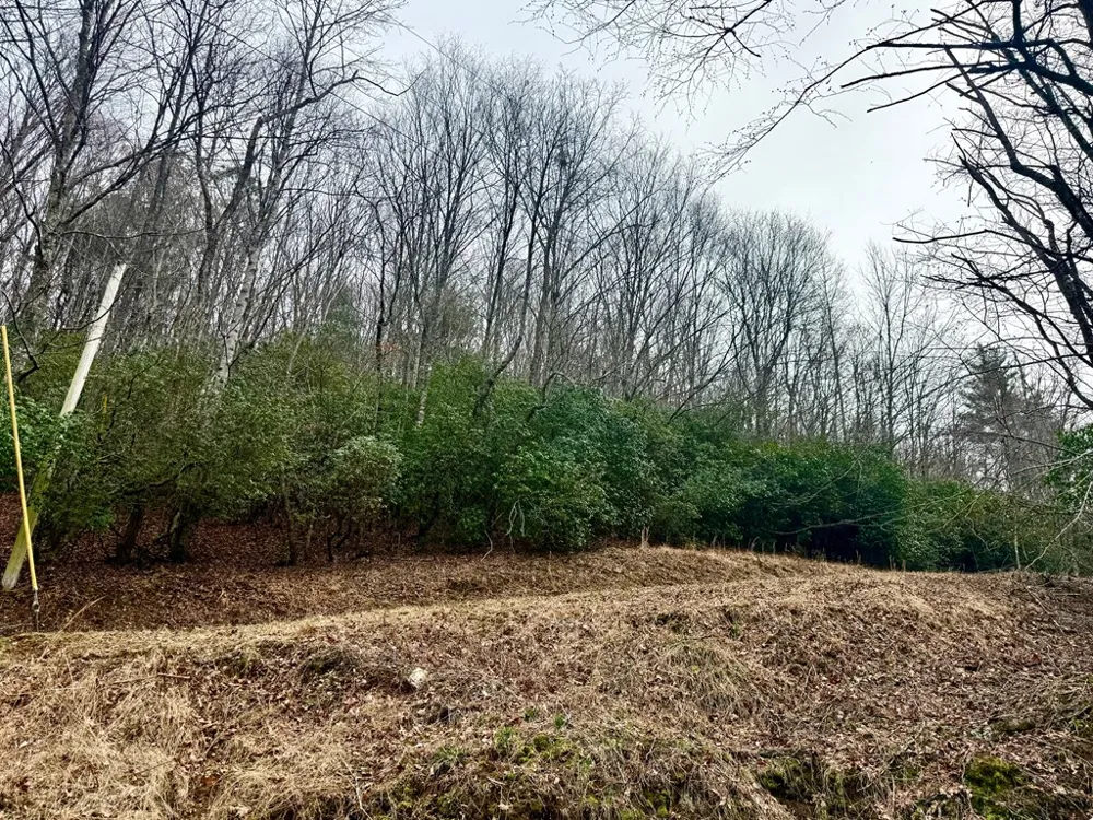 3.06 Ac Ridgeline Drive Brasstown, NC 28902