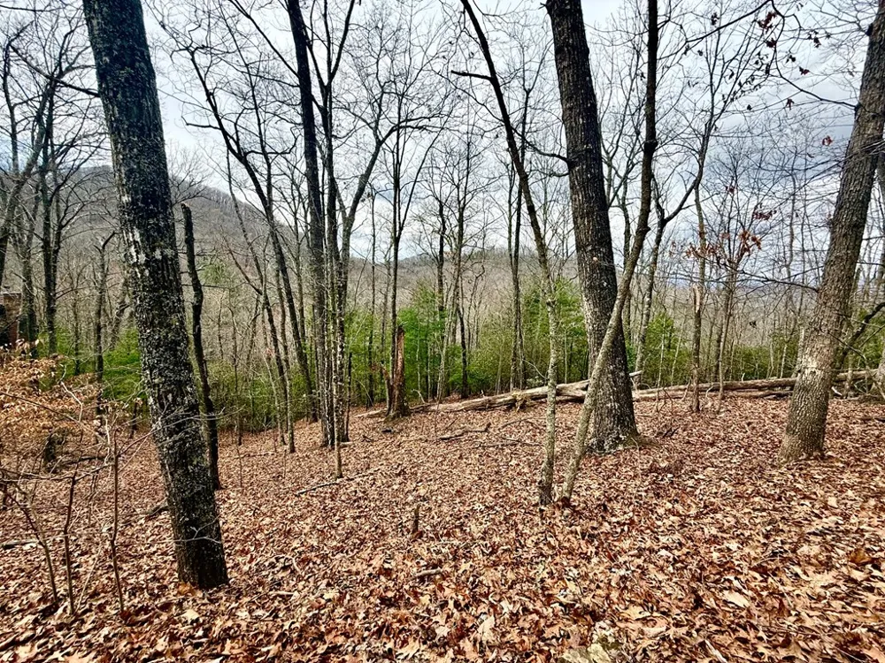 3.06 Ac Ridgeline Drive Brasstown, NC 28902
