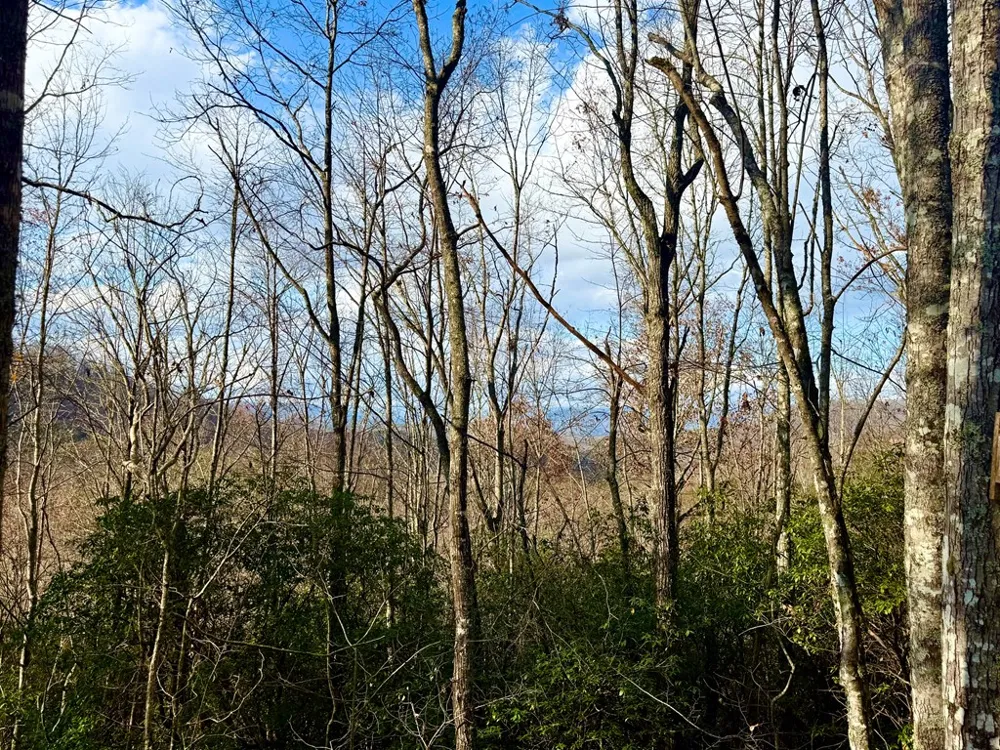 3.06 Ac Ridgeline Drive Brasstown, NC 28902