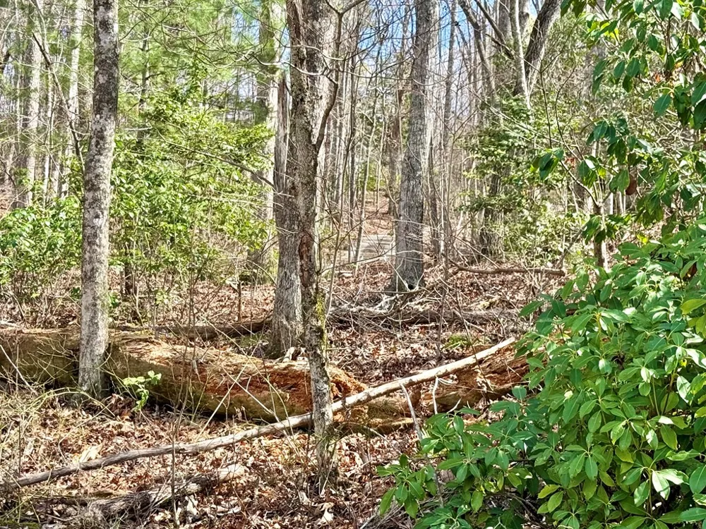 3.06 Ac Ridgeline Drive Brasstown, NC 28902