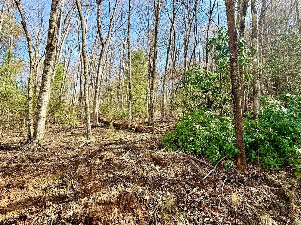 3.06 Ac Ridgeline Drive Brasstown, NC 28902
