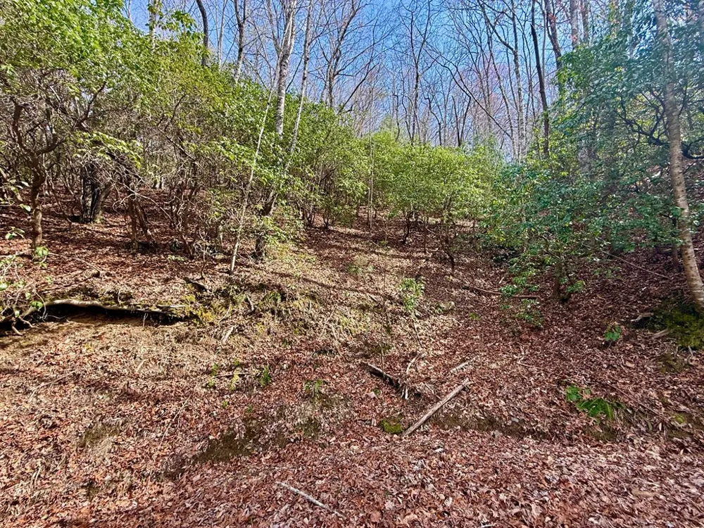3.06 Ac Ridgeline Drive Brasstown, NC 28902