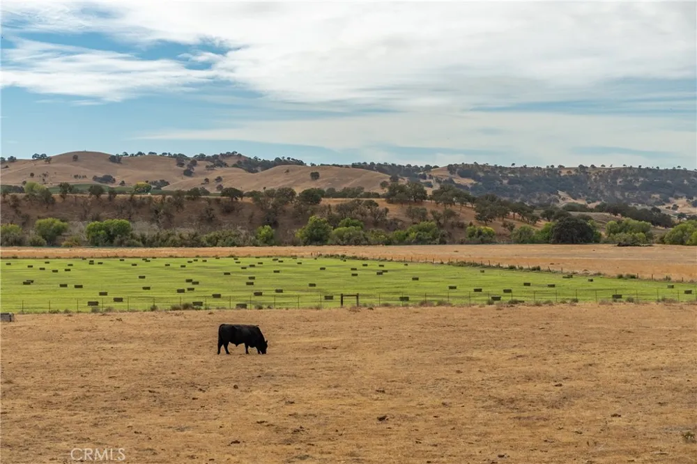 13625 Ea Hwy 46 Paso Robles, CA 93446