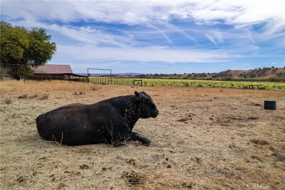 13625 Ea Hwy 46 Paso Robles, CA 93446