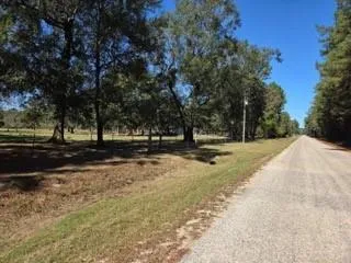 441 Wonderland Drive Shepherd, TX 77371