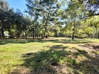 441 Wonderland Drive Shepherd, TX 77371