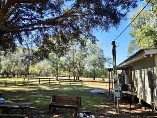 441 Wonderland Drive Shepherd, TX 77371