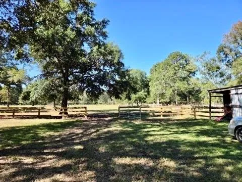 441 Wonderland Drive Shepherd, TX 77371