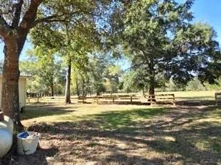 441 Wonderland Drive Shepherd, TX 77371