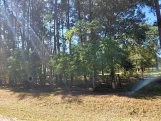 441 Wonderland Drive Shepherd, TX 77371
