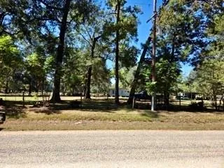 441 Wonderland Drive Shepherd, TX 77371