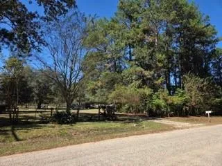 441 Wonderland Drive Shepherd, TX 77371