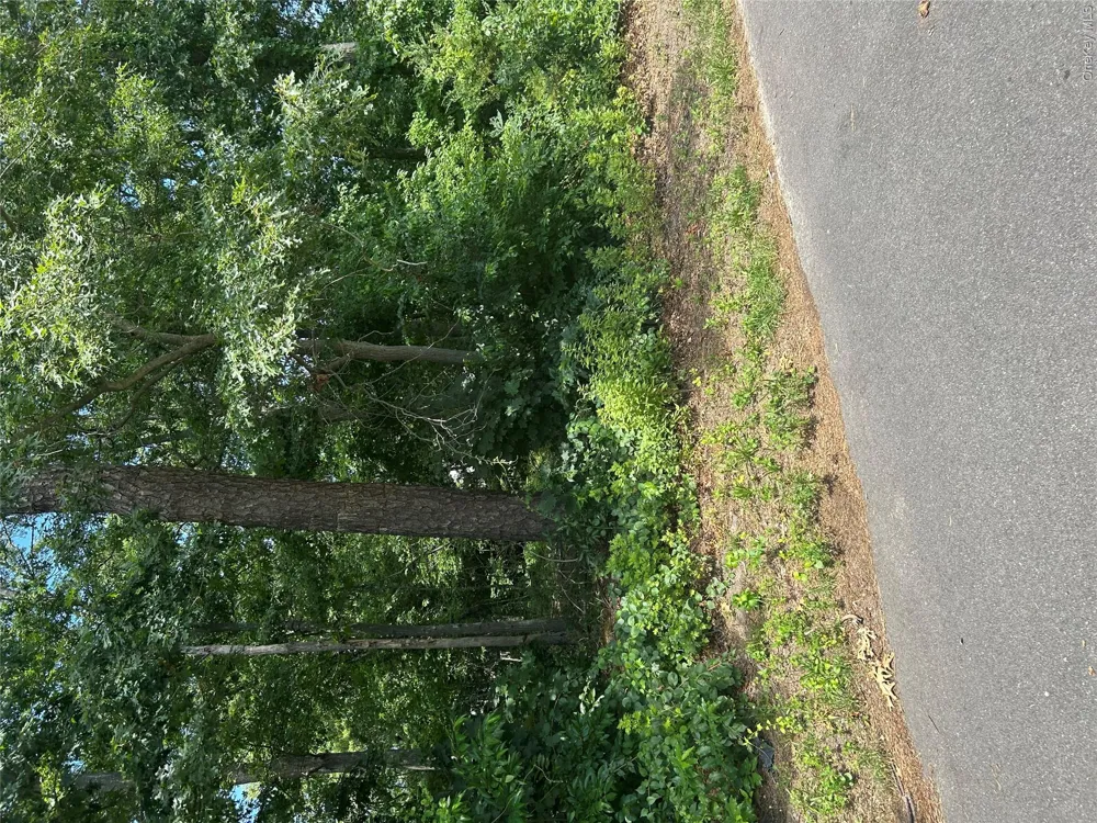 v/l Main Avenue Mastic, NY 11950