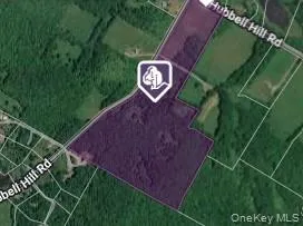 Hubbell Hill Road Margaretville, NY 12455