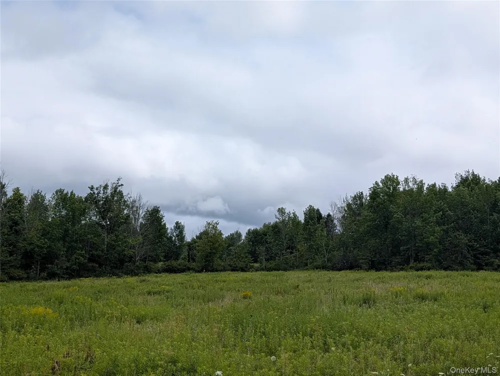 Hubbell Hill Road Margaretville, NY 12455